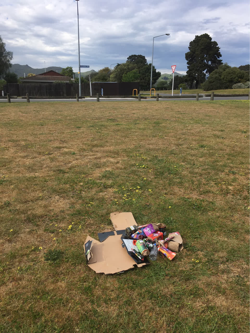 The photograph attached to this rubbish/recycling report