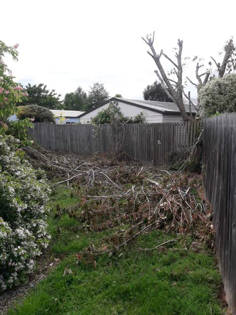 Parks, a report photo