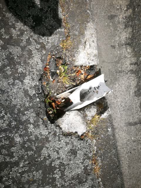 Roading/Streets, a report photo