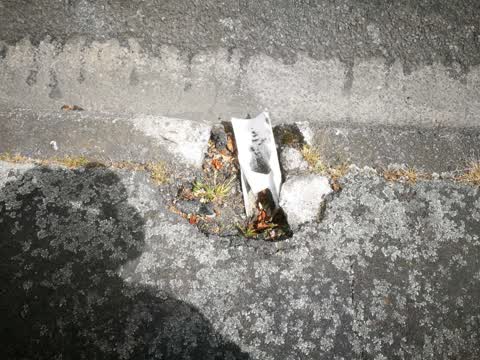Roading/Streets, a report photo