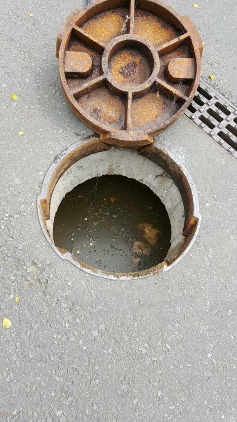 Wastewater/Stormwater — a report photo