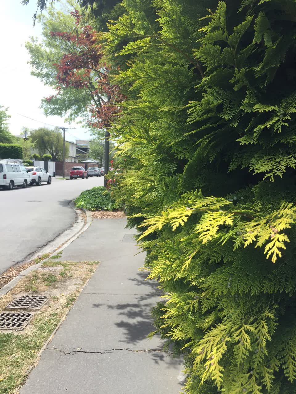 The photograph attached to this roading/streets report