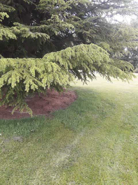 Parks, a report photo