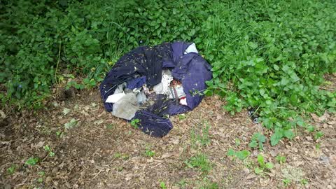 Rubbish/Recycling, a report photo