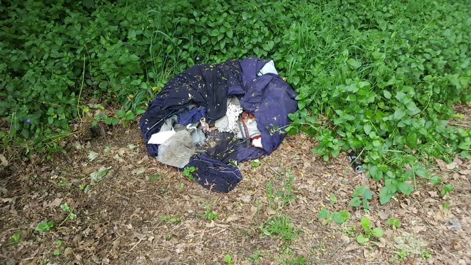 The photograph attached to this rubbish/recycling report