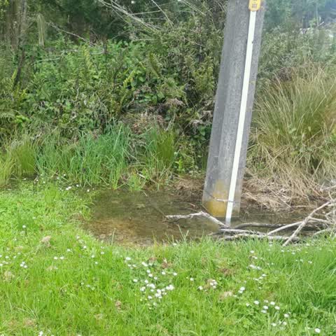 Flooding, a report photo