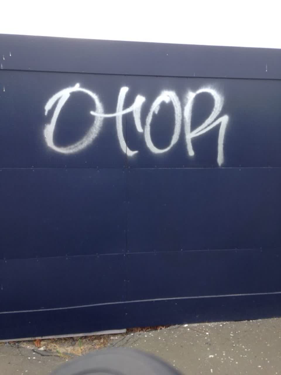 The photograph attached to this graffiti report