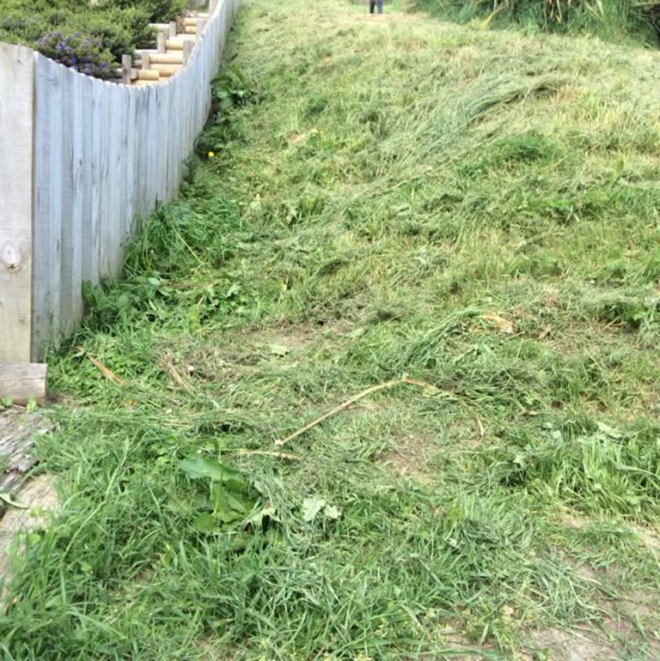 The photograph attached to this parks report