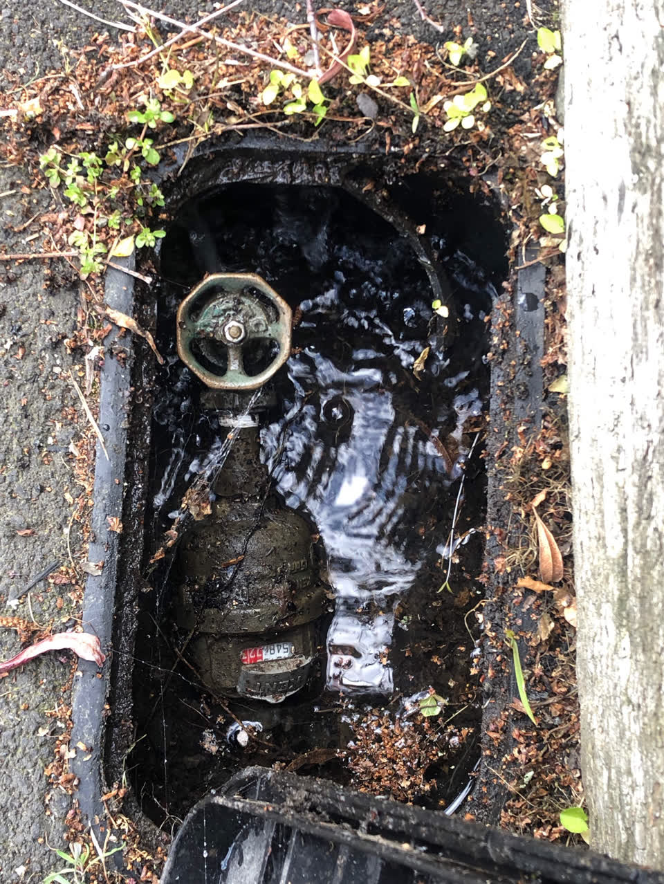 The photograph attached to this water supply report