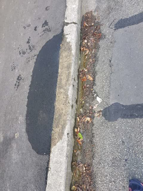 Water Supply, a report photo