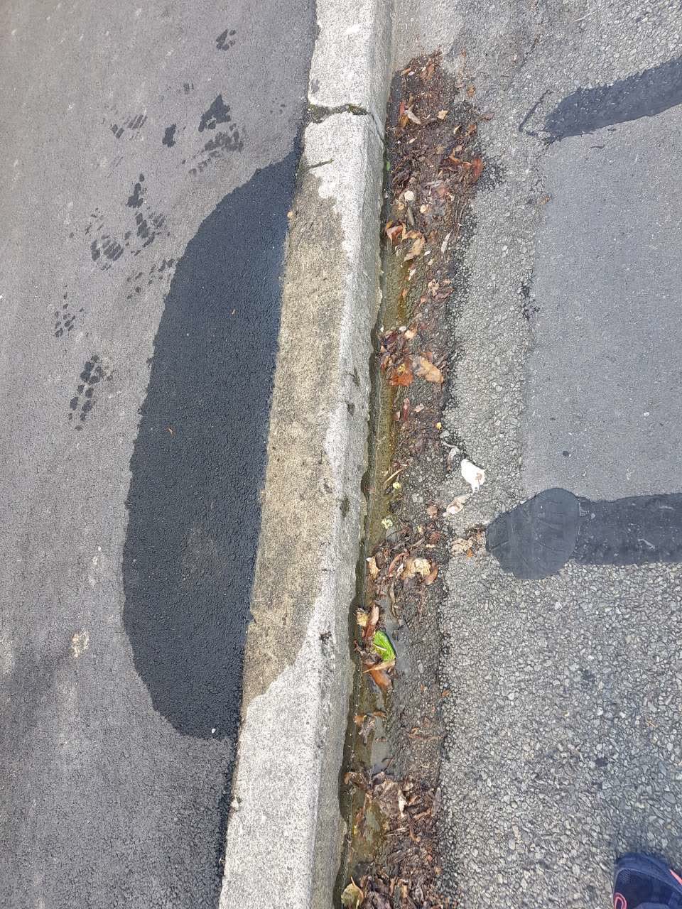 The photograph attached to this water supply report