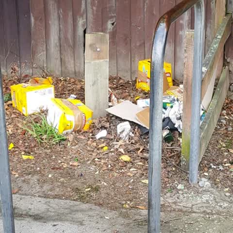 Rubbish/Recycling — a report photo