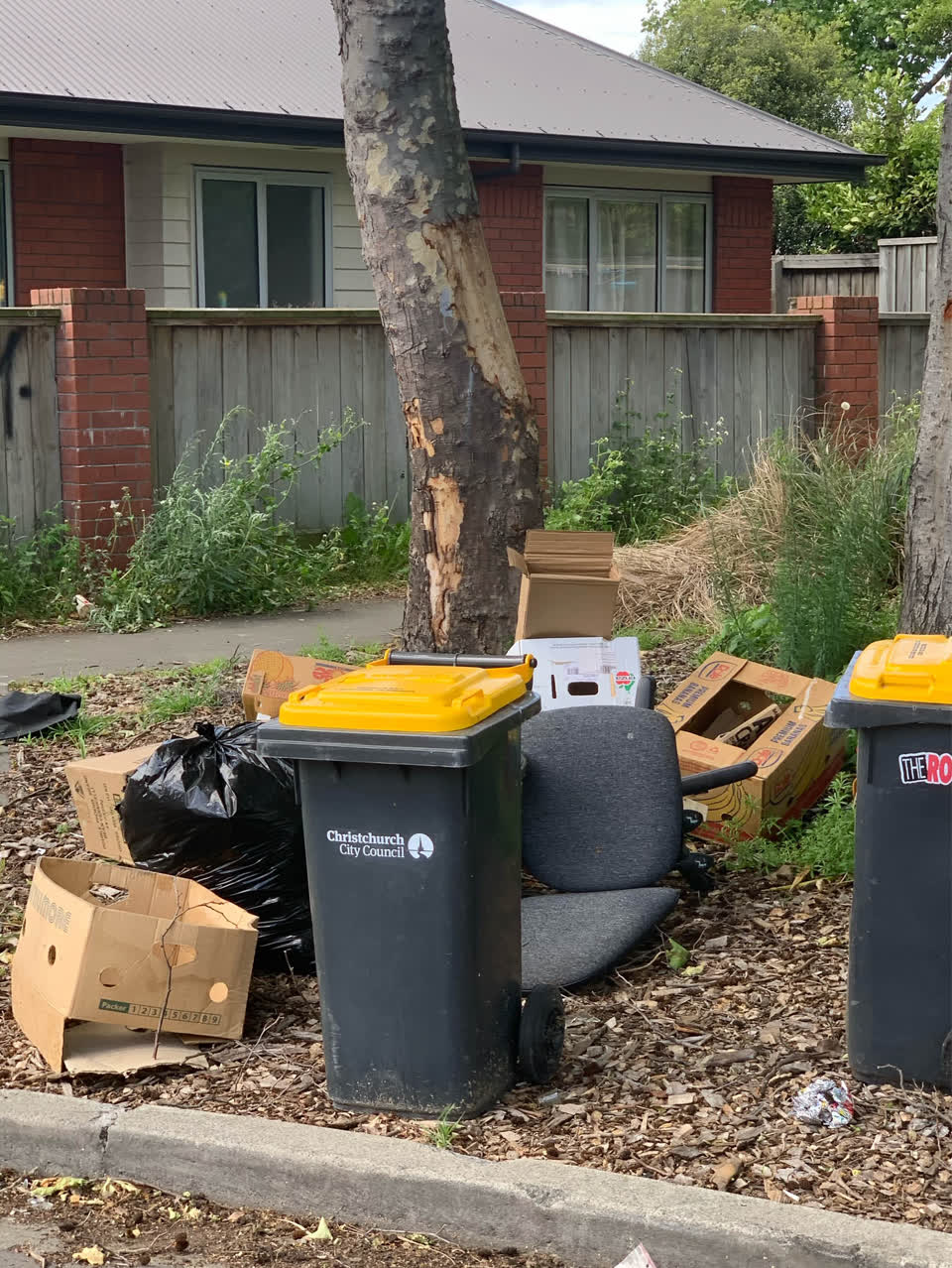 The photograph attached to this rubbish/recycling report