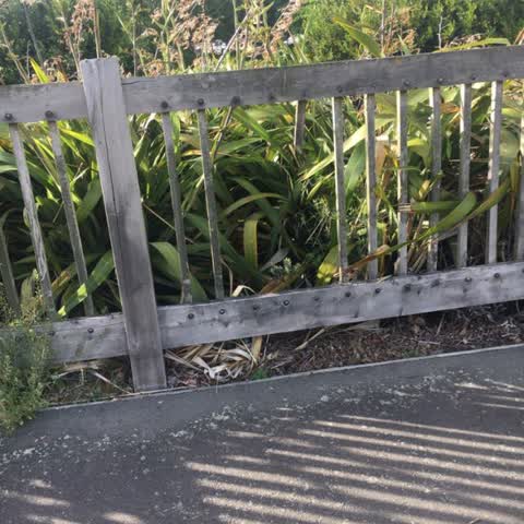 Parks, a report photo