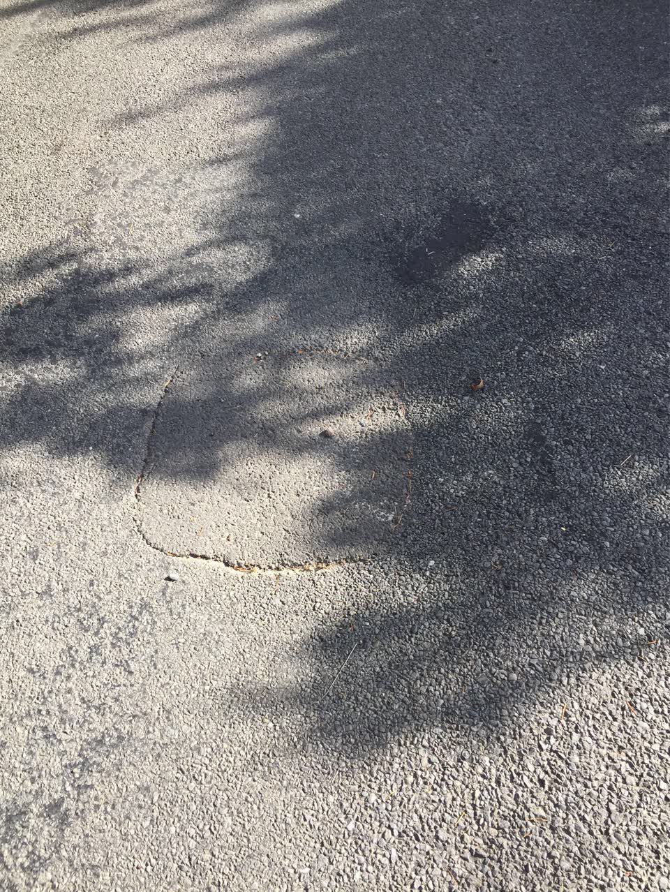 The photograph attached to this roading/streets report