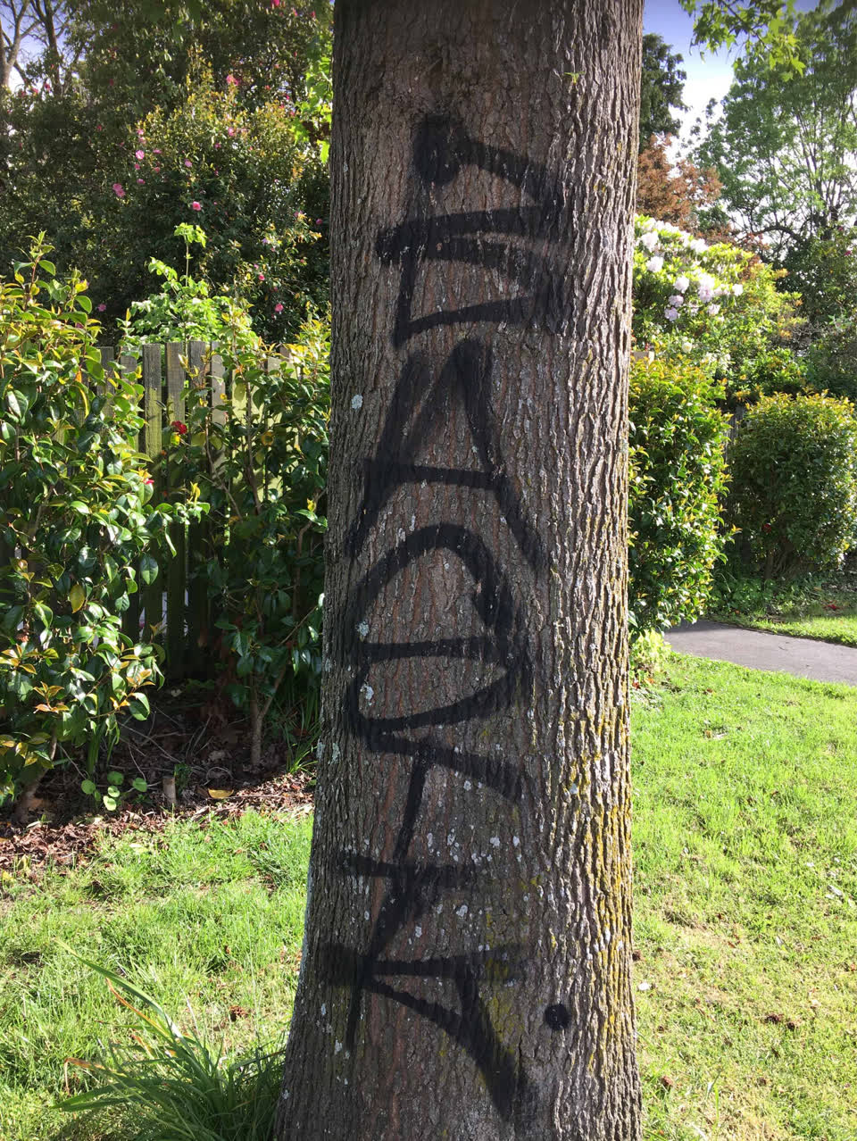 The photograph attached to this graffiti report