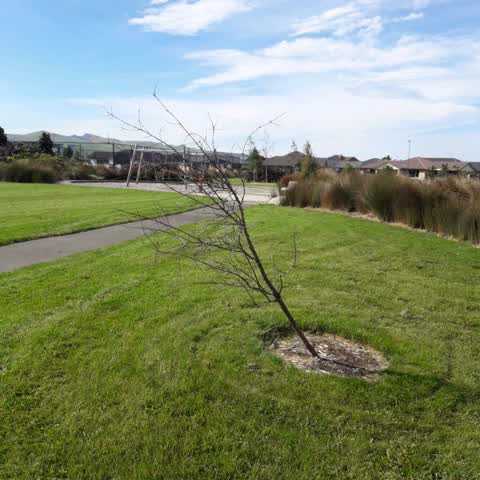 Parks, a report photo