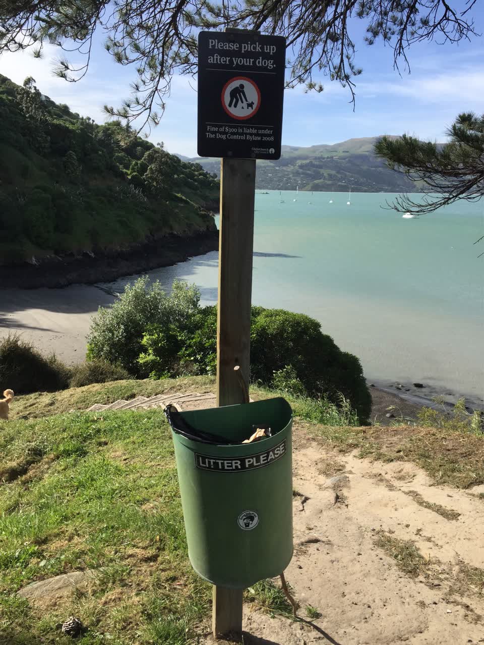 The photograph attached to this parks report