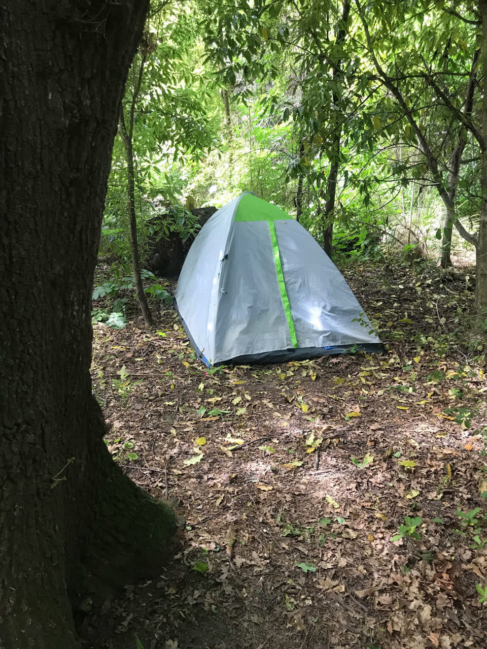 The photograph attached to this parks report