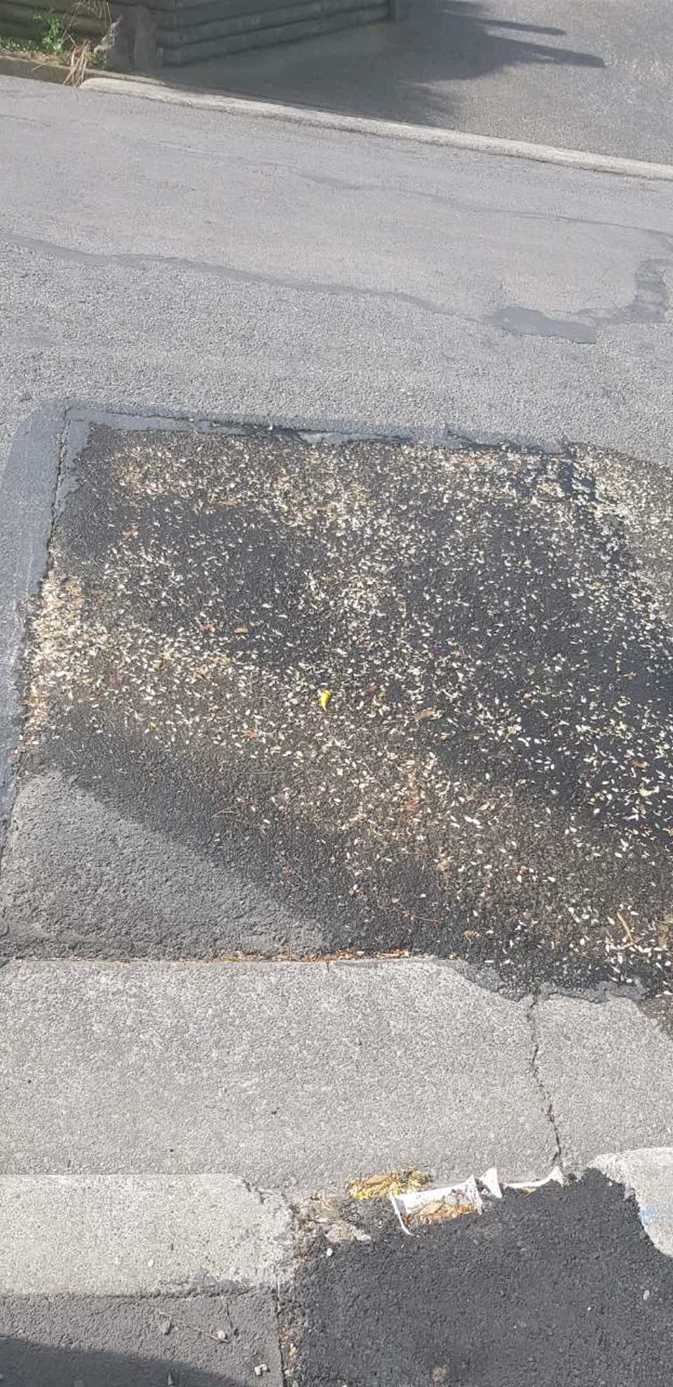 The photograph attached to this water supply report