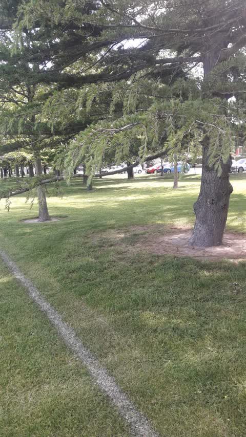 Parks, a report photo