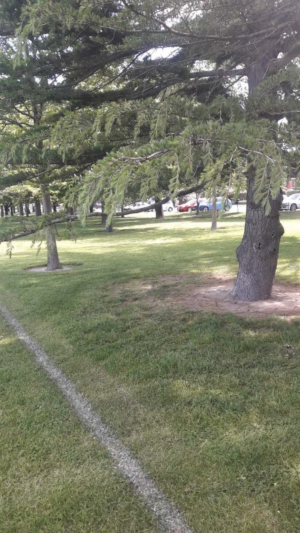 The photograph attached to this parks report