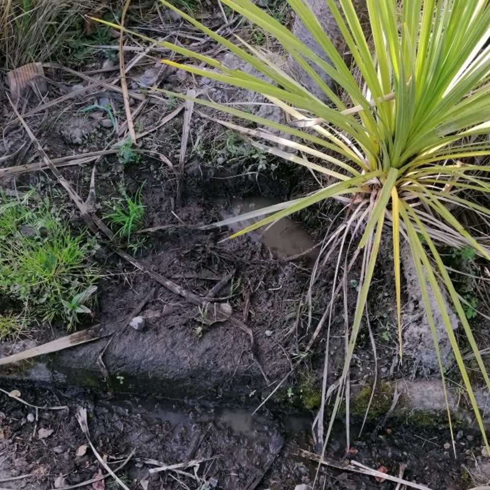The photograph attached to this water supply report