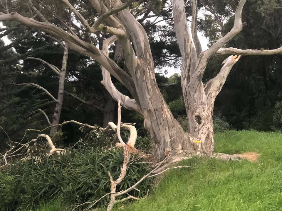 The photograph attached to this parks report