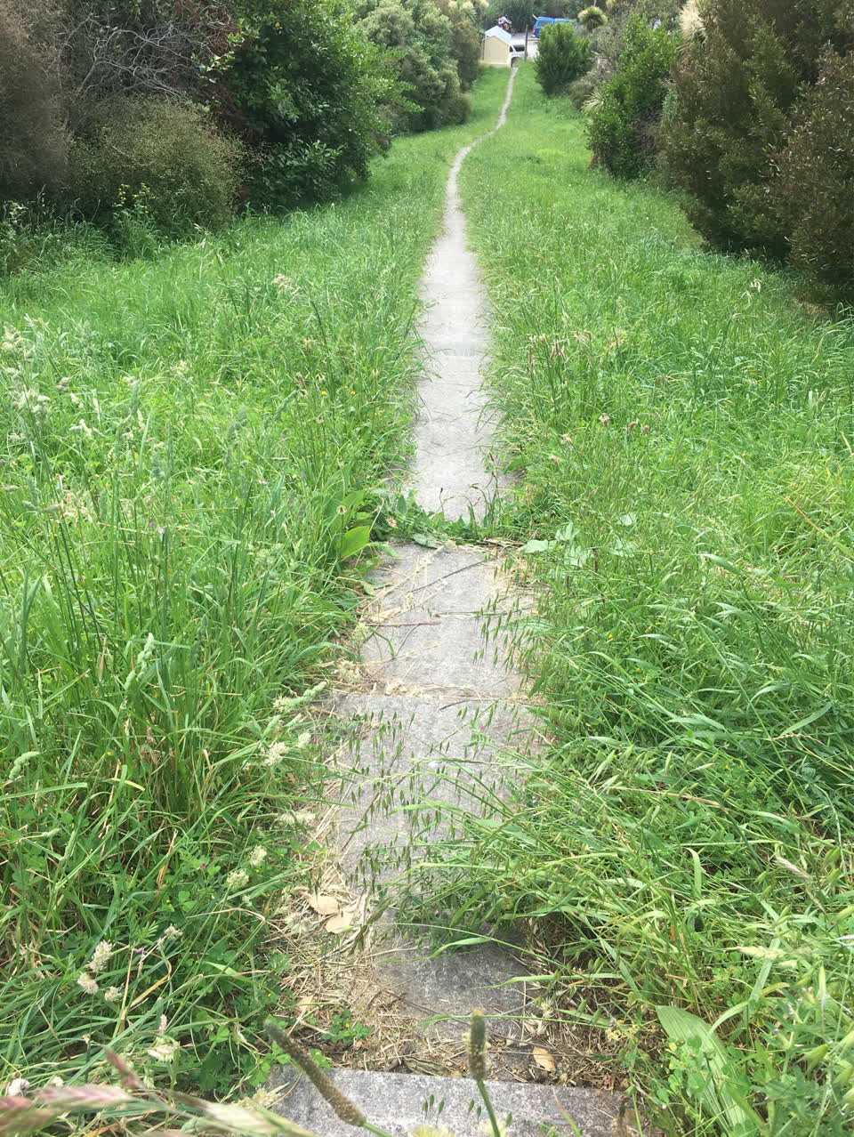 The photograph attached to this parks report