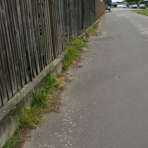 Roading/Streets, a report photo