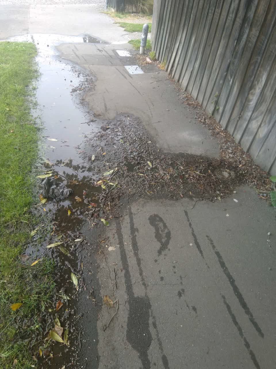 The photograph attached to this water supply report