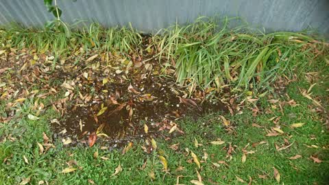 Water Supply, a report photo