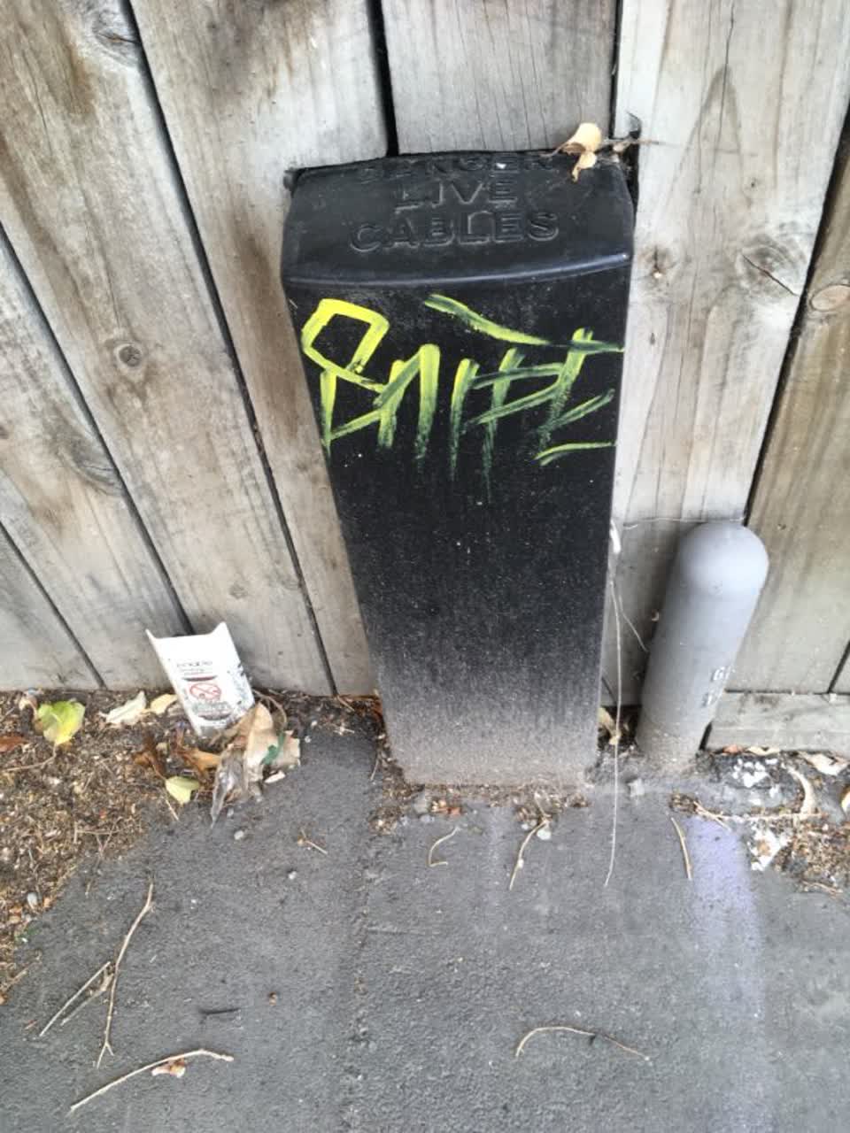 The photograph attached to this graffiti report
