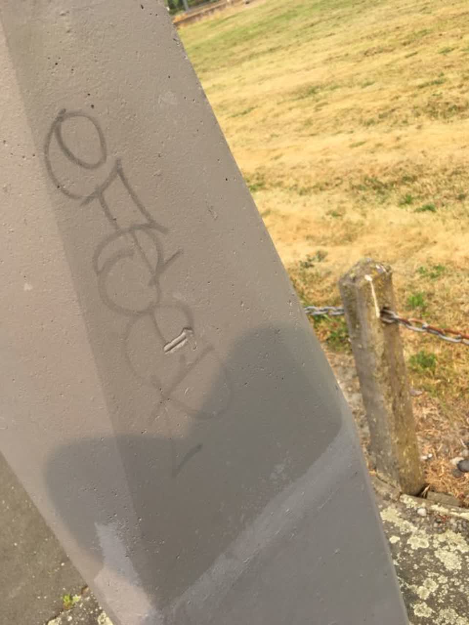 The photograph attached to this graffiti report