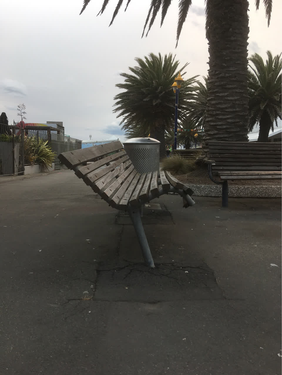 The photograph attached to this parks report