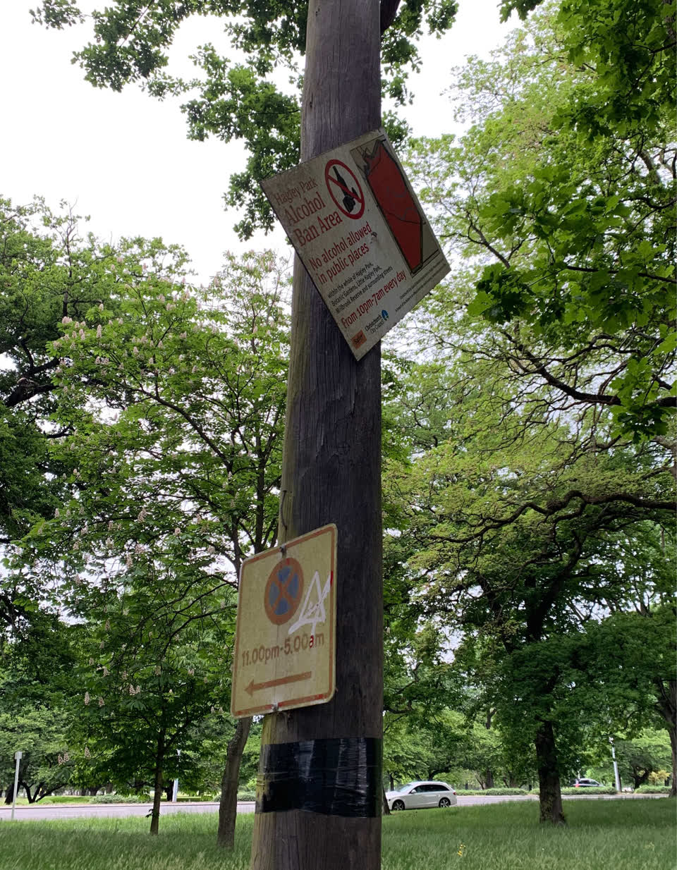 The photograph attached to this parks report