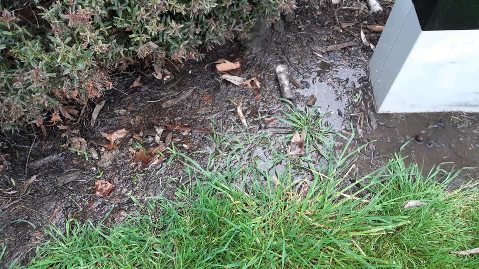 The photograph attached to this water supply report