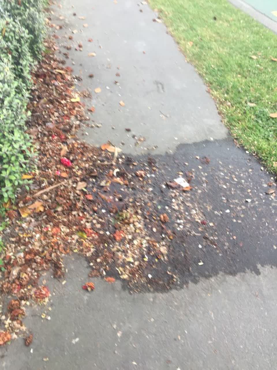 The photograph attached to this water supply report