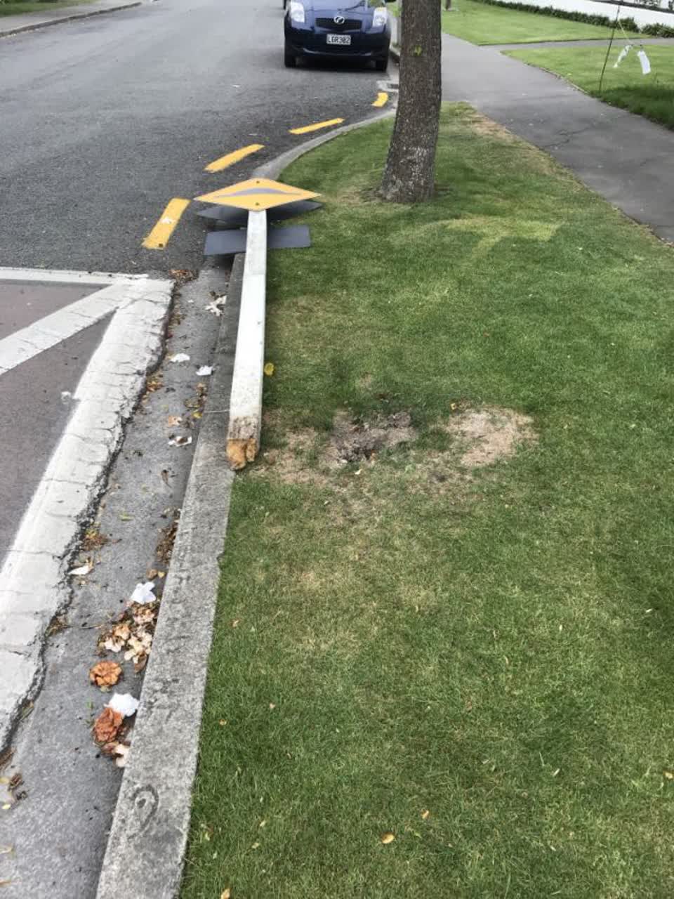 The photograph attached to this roading/streets report