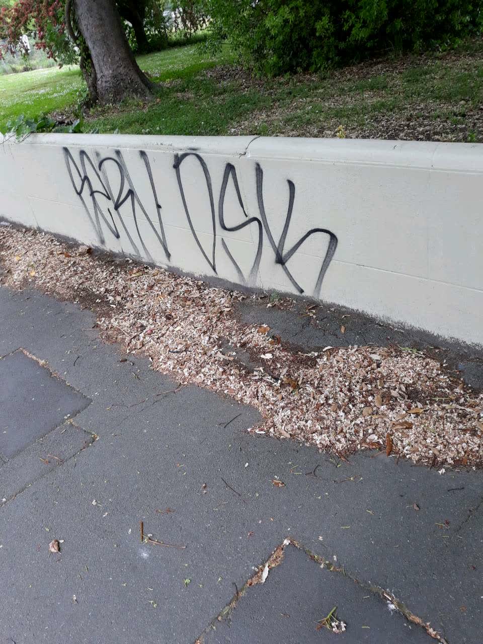 The photograph attached to this graffiti report