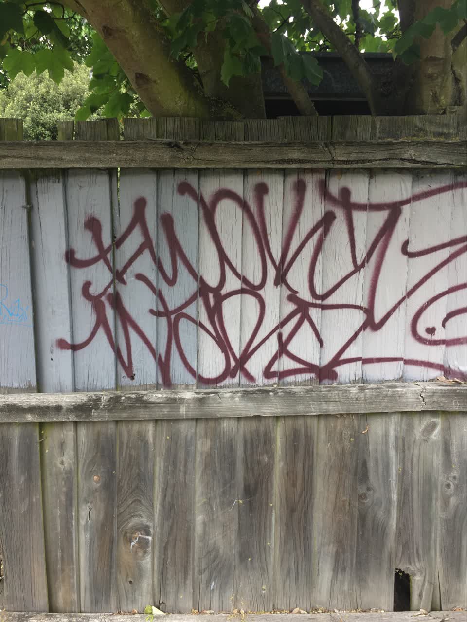 The photograph attached to this graffiti report