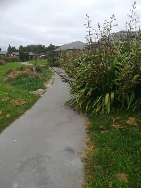 Parks, a report photo