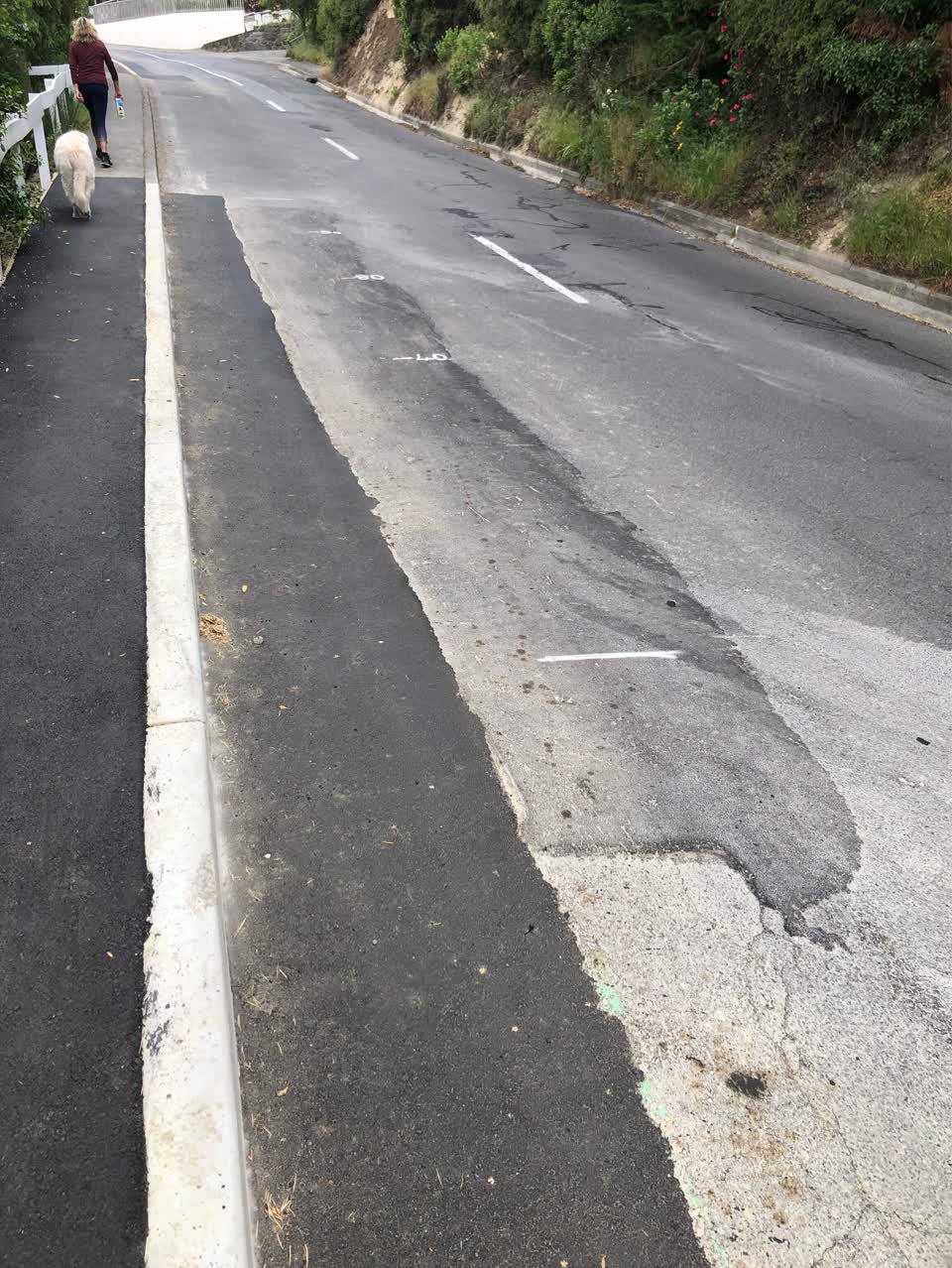 The photograph attached to this roading/streets report