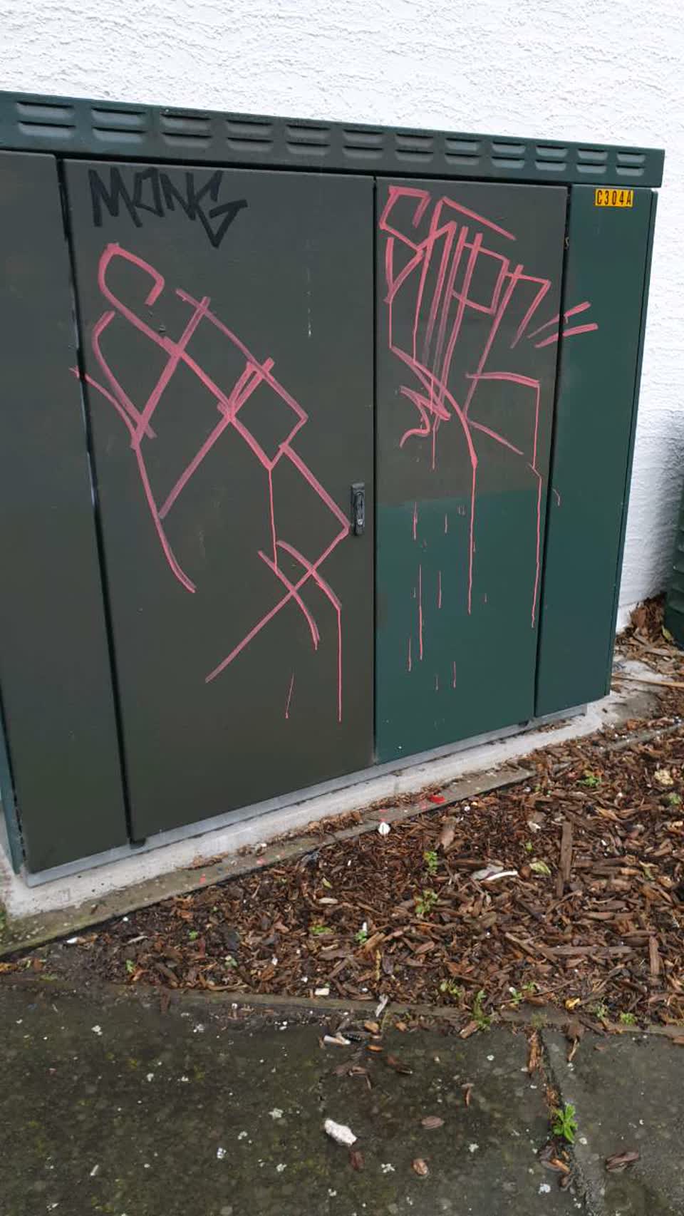 The photograph attached to this graffiti report
