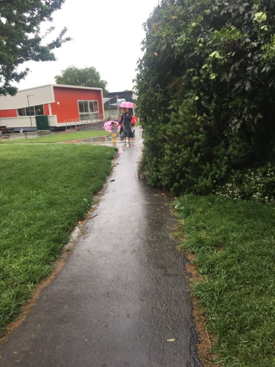 The photograph attached to this parks report