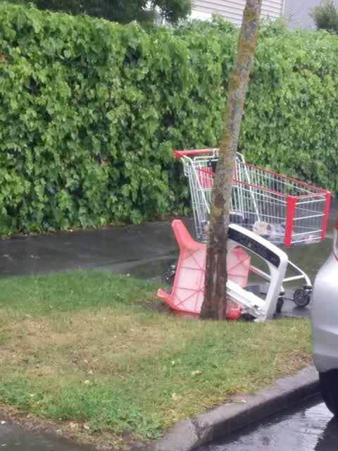 Rubbish/Recycling, a report photo