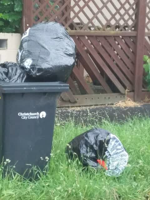 Rubbish/Recycling, a report photo