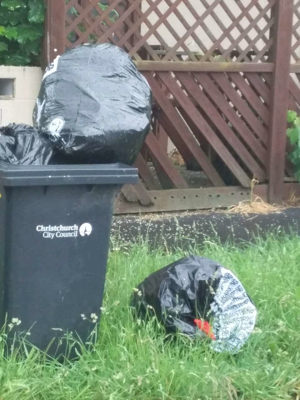 The photograph attached to this rubbish/recycling report