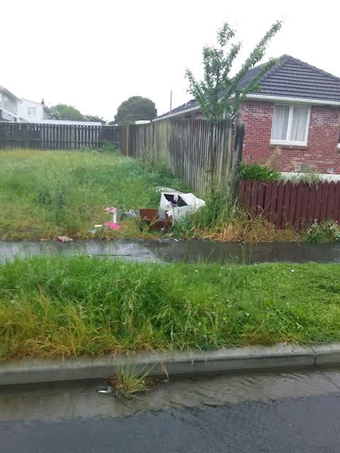 Rubbish/Recycling, a report photo