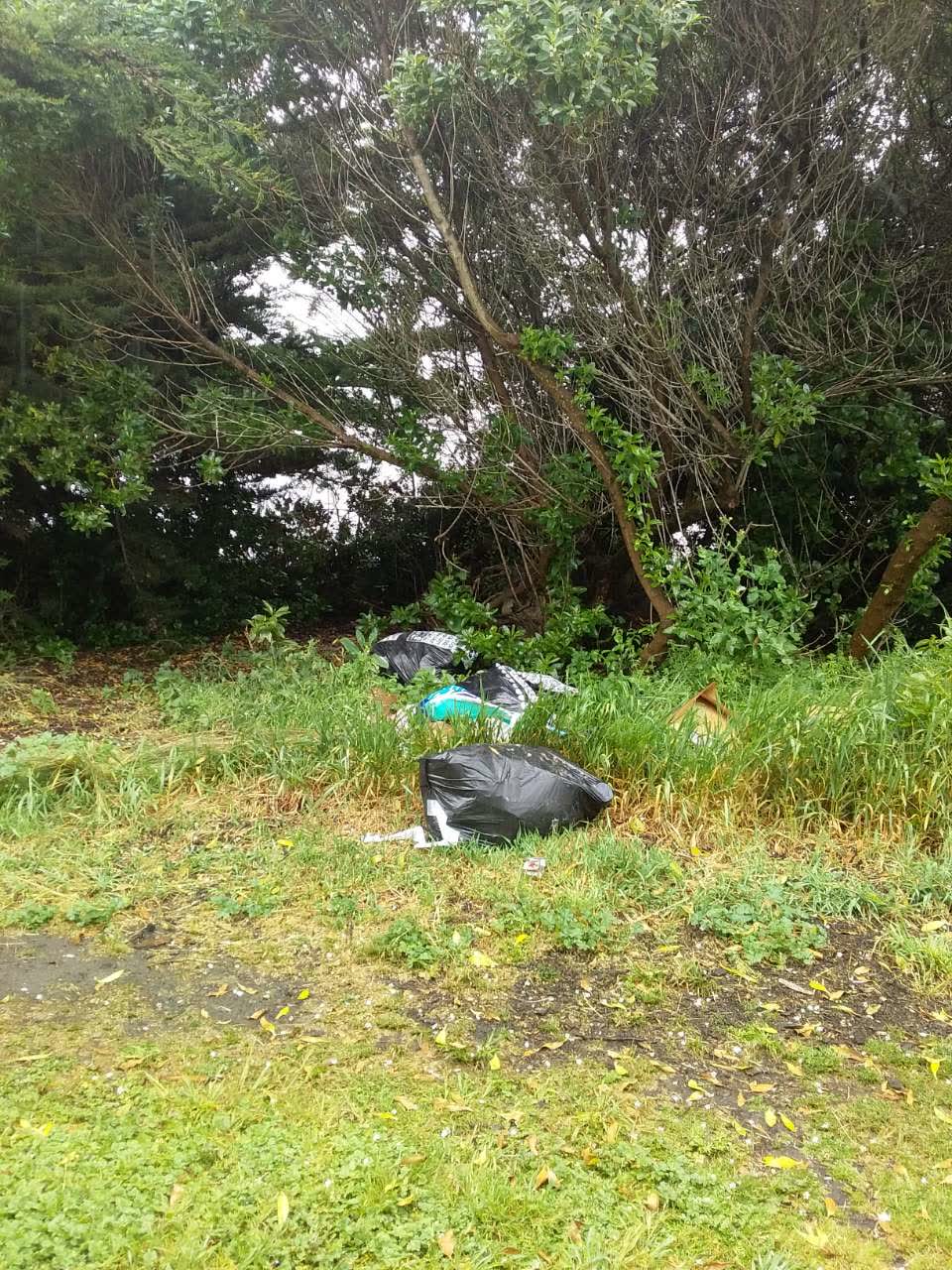 The photograph attached to this rubbish/recycling report